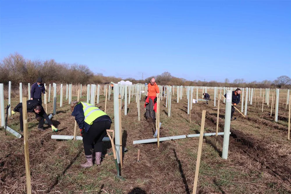 The FPS team planting trees