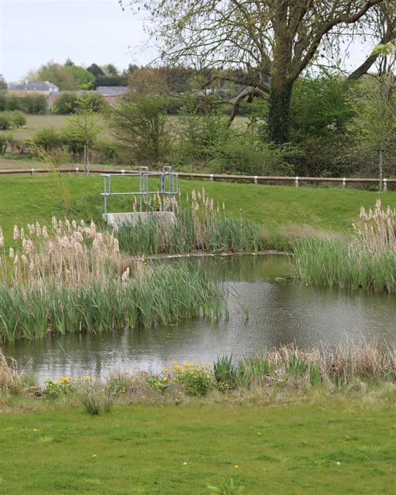 A balancing pond with reed planting and an outfall control structure
